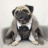 Formal Dog Outfits