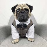 Formal Dog Outfits