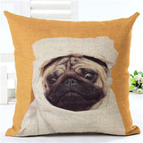 Funny Pug Decorative Throw Pillow cushion cover