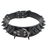 Leather Spike Studded Dog Collar