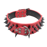 Leather Spike Studded Dog Collar