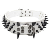 Leather Spike Studded Dog Collar