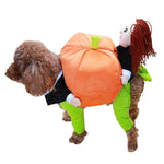 Pumpkin Costume