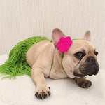 Hawaiian Bikini Pet Dog Costume