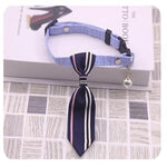 Necktie Collar with Bell