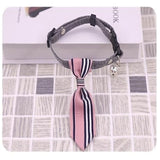 Necktie Collar with Bell