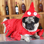 Cute Lobster Dog Costume