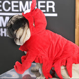 Cute Lobster Dog Costume