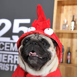 Cute Lobster Dog Costume