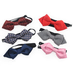 Dressy Bow Tie Accessorie for your pet