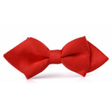 Dressy Bow Tie Accessorie for your pet